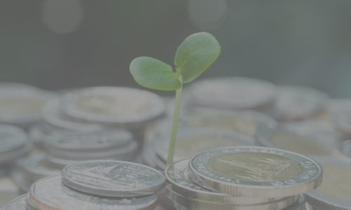 Thumbnail image of Is there life after regulation?