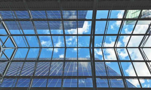 Thumbnail image of INVESTORS IN RECORD FLIGHT FROM EQUITY FUNDS DURING AUGUST BEAR-MARKET RALLY